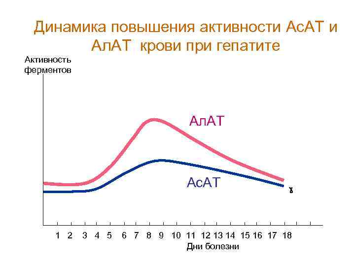 Динамика повышения активности Ас. АТ и Ал. АТ крови при гепатите Активность ферментов Ал.