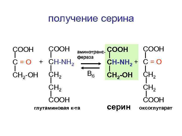 Сн3 сн nh2 cooh