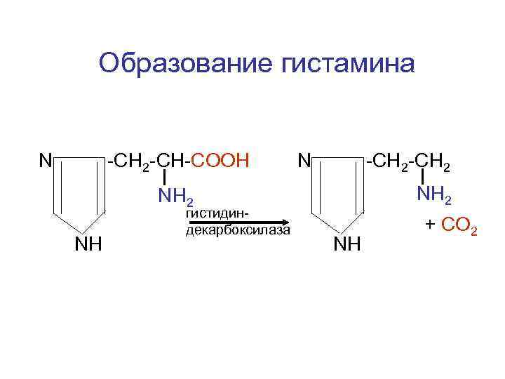 Образование гистамина N -CH 2 -CH-COOH N -CH 2 NH гистидиндекарбоксилаза NH + СО