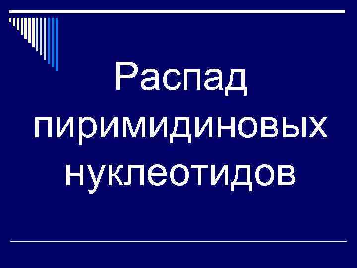 Распад пиримидиновых нуклеотидов 