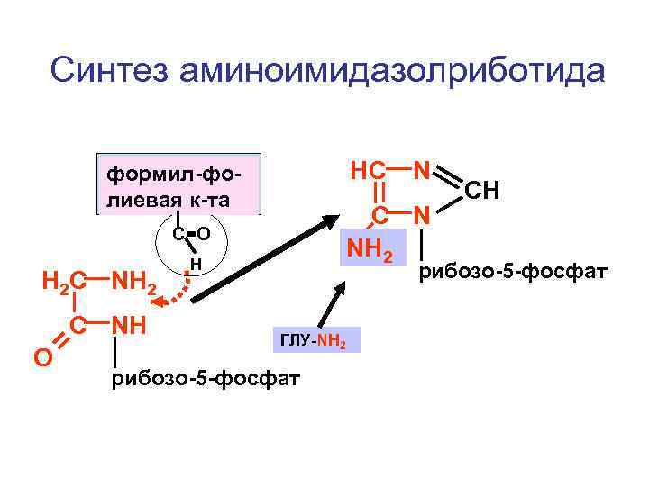 Синтез аминоимидазолриботида HC формил-фолиевая к-та C N NH 2 С=О H 2 C NH