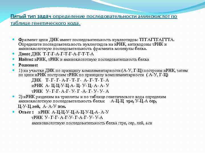 Сколько триплетов содержит цепь днк