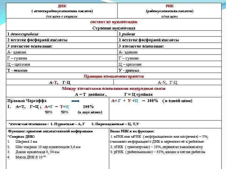 ДНК ( дезоксирибонуклеиновая кислота) две цепи в спирали РНК (рибонуклеиновая кислота) одна цепь состоят
