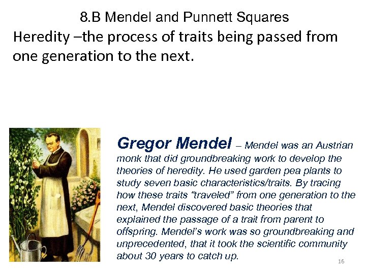 8. B Mendel and Punnett Squares Heredity –the process of traits being passed from