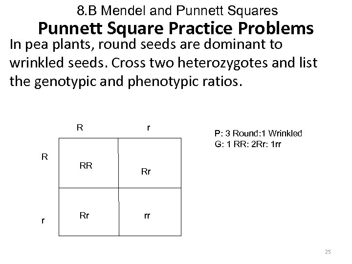 8. B Mendel and Punnett Squares Punnett Square Practice Problems In pea plants, round