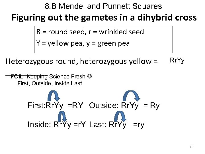 8. B Mendel and Punnett Squares Figuring out the gametes in a dihybrid cross