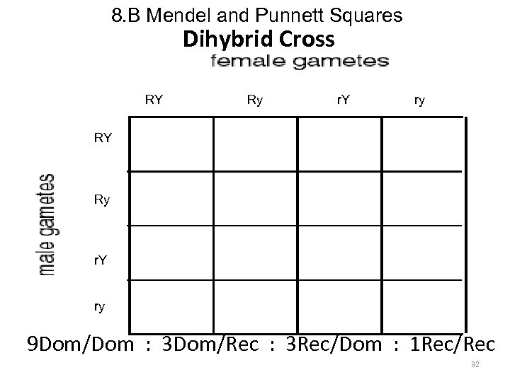 8. B Mendel and Punnett Squares Dihybrid Cross RY Ry r. Y ry 9