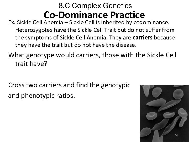 8. C Complex Genetics Co-Dominance Practice Ex. Sickle Cell Anemia – Sickle Cell is