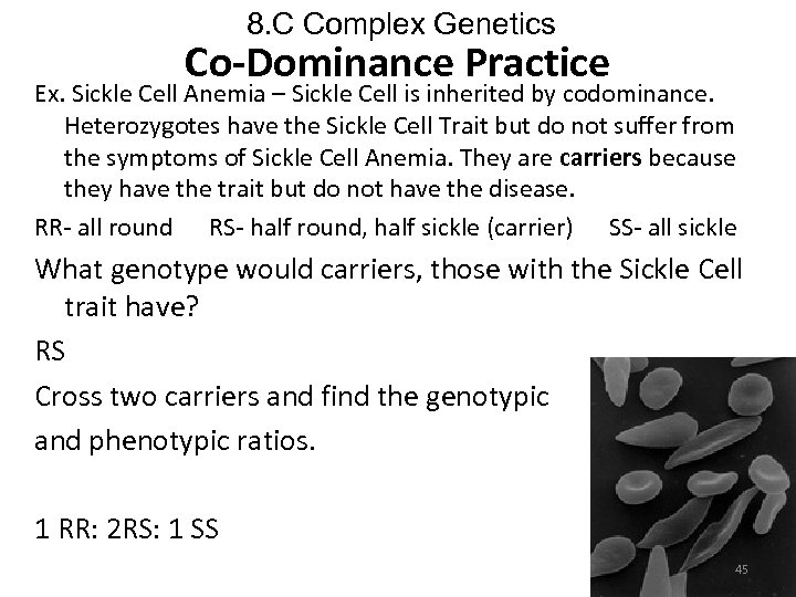 8. C Complex Genetics Co-Dominance Practice Ex. Sickle Cell Anemia – Sickle Cell is