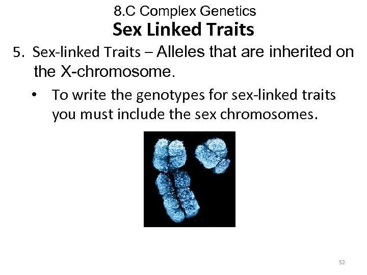 8. C Complex Genetics Sex Linked Traits 5. Sex-linked Traits – Alleles that are