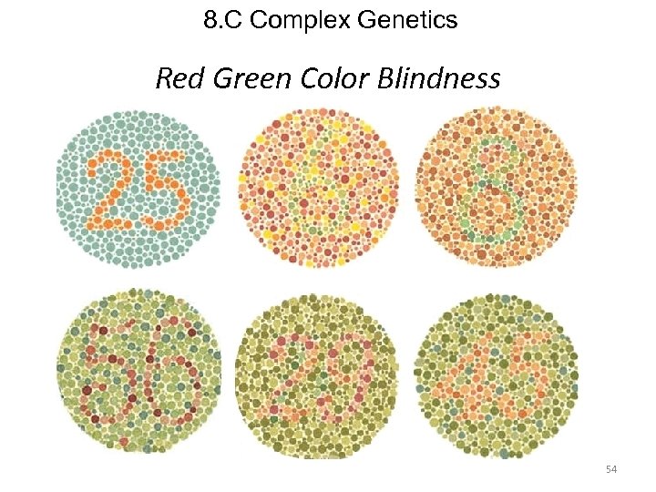 8. C Complex Genetics Red Green Color Blindness 54 