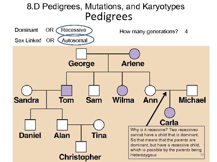 8. D Pedigrees, Mutations, and Karyotypes Pedigrees Dominant OR Recessive Sex Linked OR Autosomal