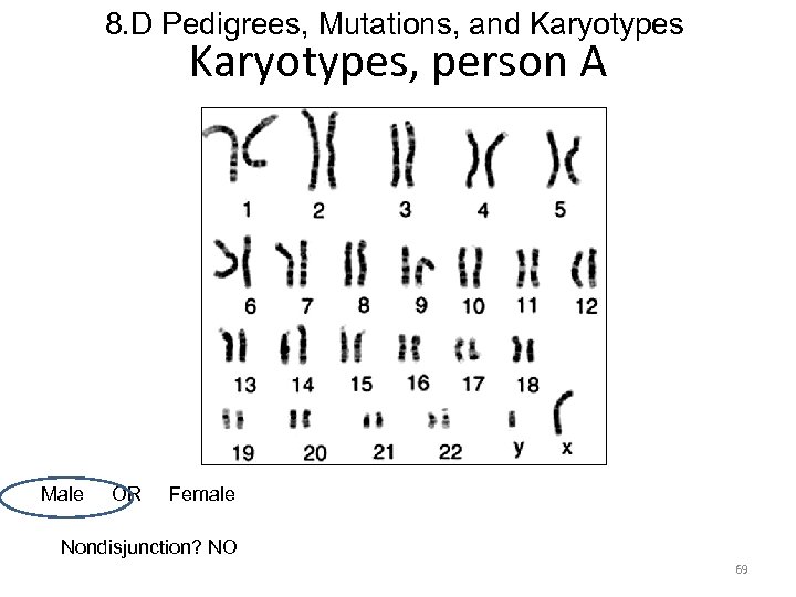8. D Pedigrees, Mutations, and Karyotypes, person A Male OR Female Nondisjunction? NO 69