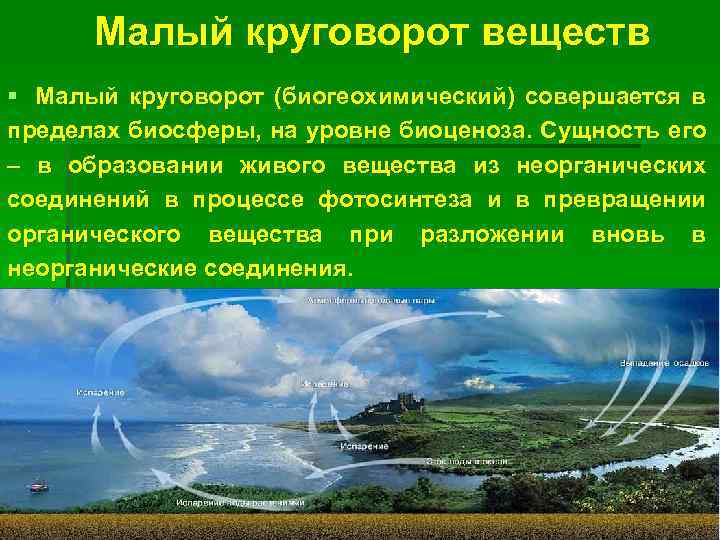 Живое вещество и биогеохимические круговороты в биосфере презентация 11 класс