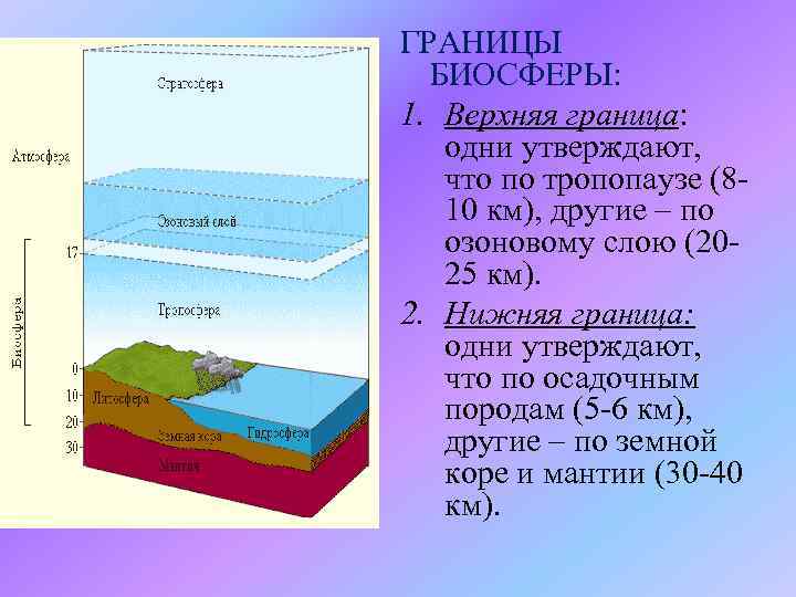 Причины и границы устойчивости биосферы к воздействию деятельности людей презентация