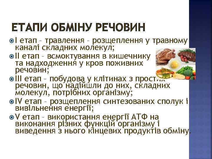 ЕТАПИ ОБМІНУ РЕЧОВИН І етап – травлення – розщеплення у травному каналі складних молекул;