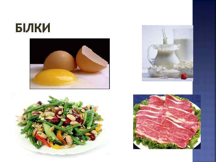 БІЛКИ 