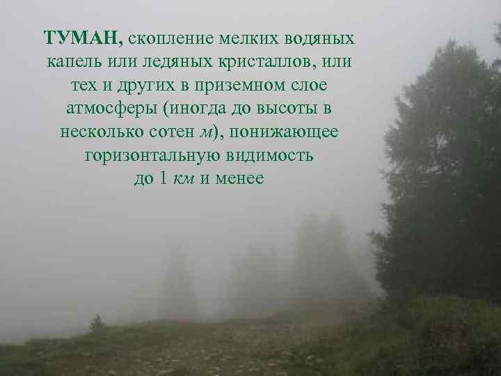 ТУМАН, скопление мелких водяных капель или ледяных кристаллов, или тех и других в приземном