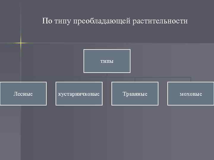 По типу преобладающей растительности типы Лесные кустарничковые Травяные моховые 