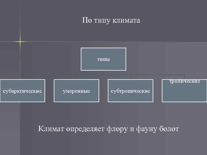 Виды болот. Классификация болот. Классификация болот по типам питания. Тип болота по классификации. Типы питания болот.