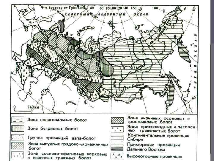 Обозначьте штриховкой заболоченные территории контурная карта