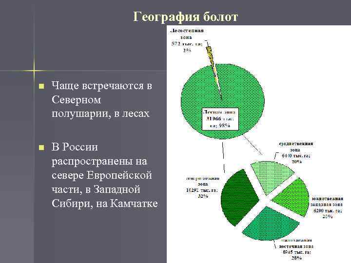 География болот n Чаще встречаются в Северном полушарии, в лесах n В России распространены