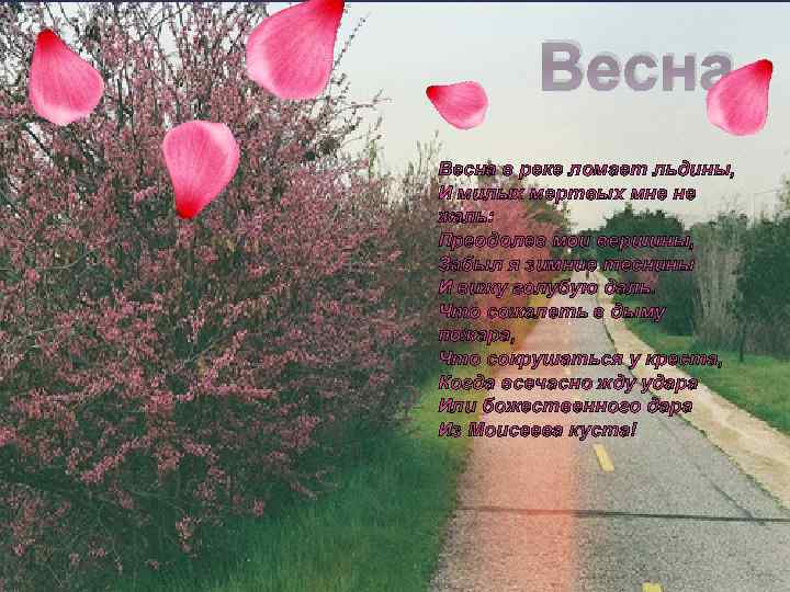 Через две зимы через две весны слушать