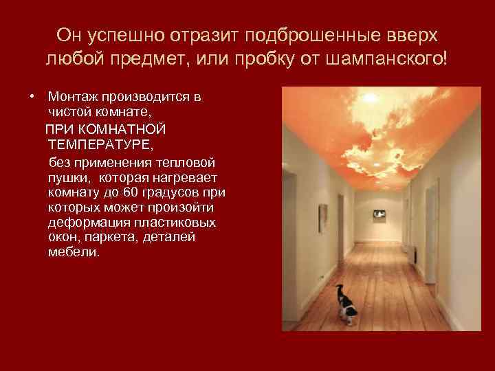 Он успешно отразит подброшенные вверх любой предмет, или пробку от шампанского! • Монтаж производится