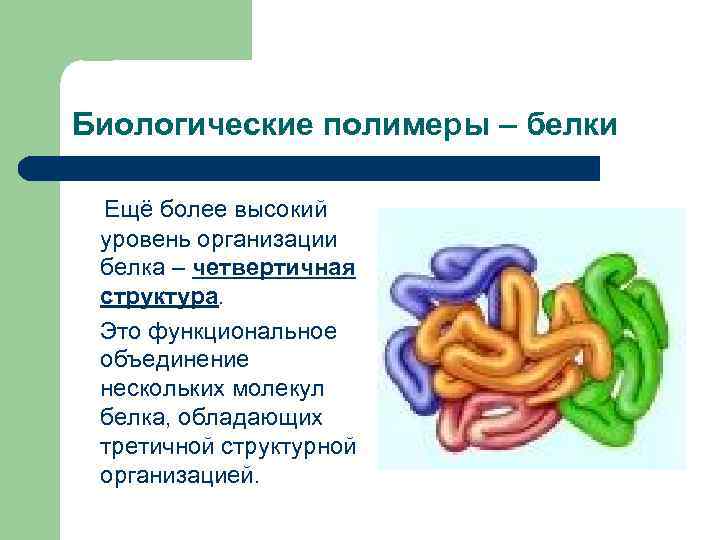 Биологические полимеры – белки Ещё более высокий уровень организации белка – четвертичная структура. Это