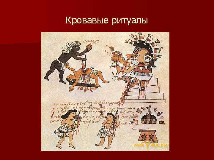 Таблица народы доколумбовой америки история 6. Ольмеки письменность. Письменность ольмеков. Письменность доколумбовой Америки. Медицина доколумбовой Америки.