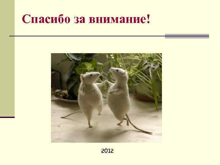 Спасибо за внимание! 2012 