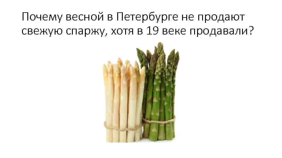 Почему весной в Петербурге не продают свежую спаржу, хотя в 19 веке продавали? 