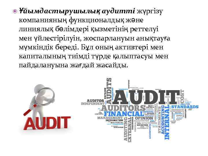 аудитті жүргізу компанияның функционалдық және линиялық бөлімдері қызметінің реттелуі мен үйлестірілуін, жоспарлануын анықтауға мүмкіндік