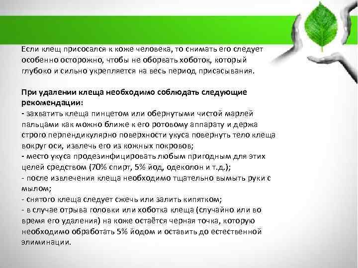 Если клещ присосался к коже человека, то снимать его следует особенно осторожно, чтобы не