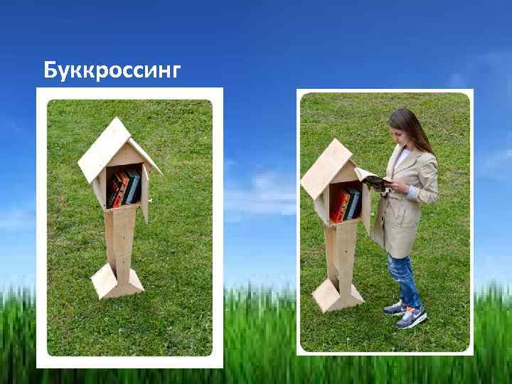 Буккроссинг 