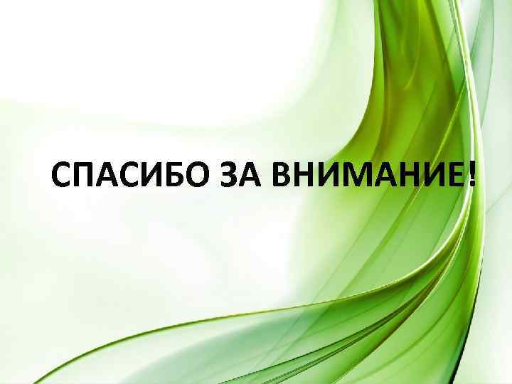 СПАСИБО ЗА ВНИМАНИЕ! 