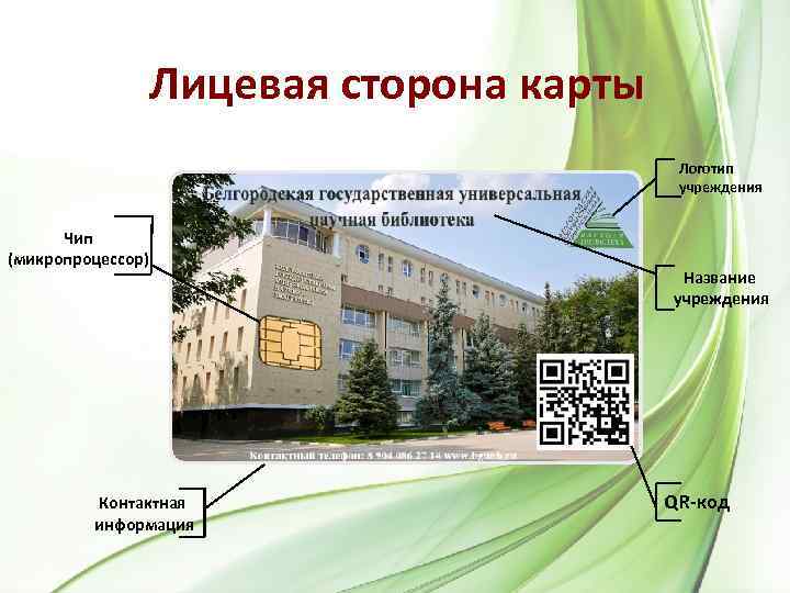 Лицевая сторона карты Логотип учреждения Чип (микропроцессор) Контактная информация Название учреждения QR-код 