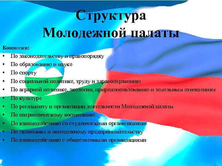 Структура Молодежной палаты Комиссии: • • • По законодательству и правопорядку По образованию и