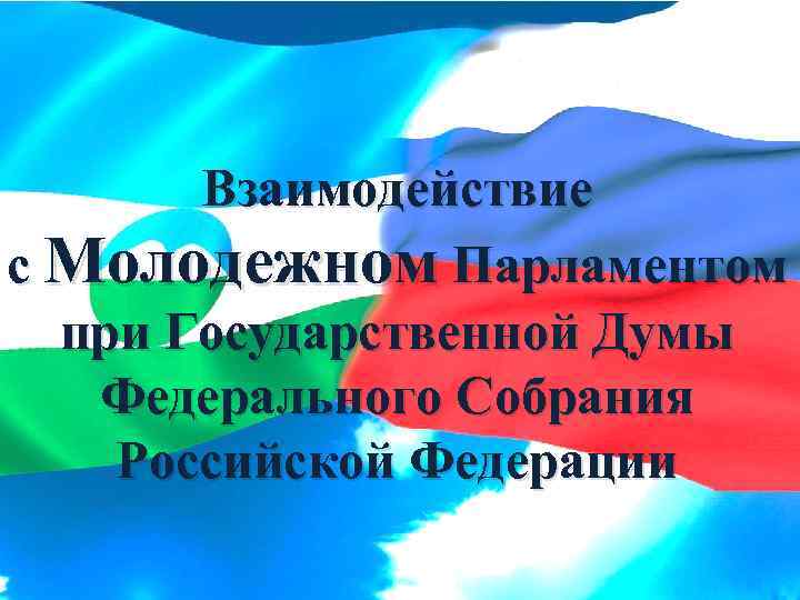 Взаимодействие с Молодежном Парламентом при Государственной Думы Федерального Собрания Российской Федерации 