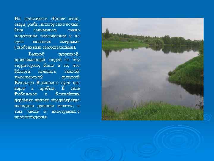 Их привлекало обилие птиц, зверя, рыбы, плодородие почвы. Они занимались также подсечным земледелием и