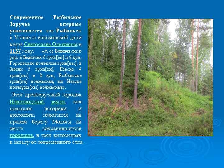 Современное Рыбинское Заручье впервые упоминается как Рыбаньск в Уставе о епископской дани князя Святослава