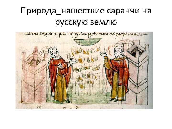 Природа_нашествие саранчи на русскую землю 