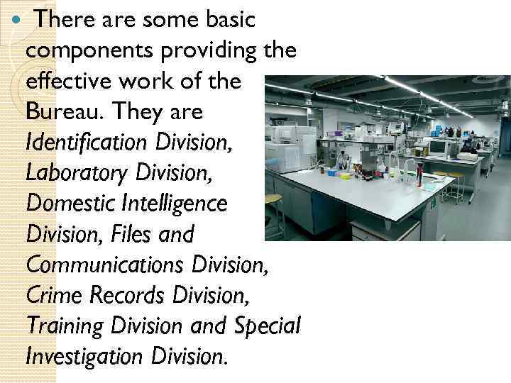  There are some basic components providing the effective work of the Bureau. They