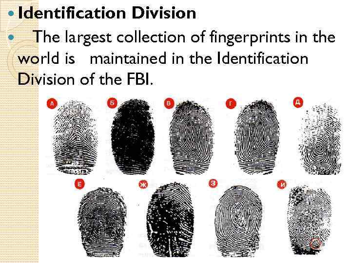  Identification Division The largest collection of fingerprints in the world is maintained in