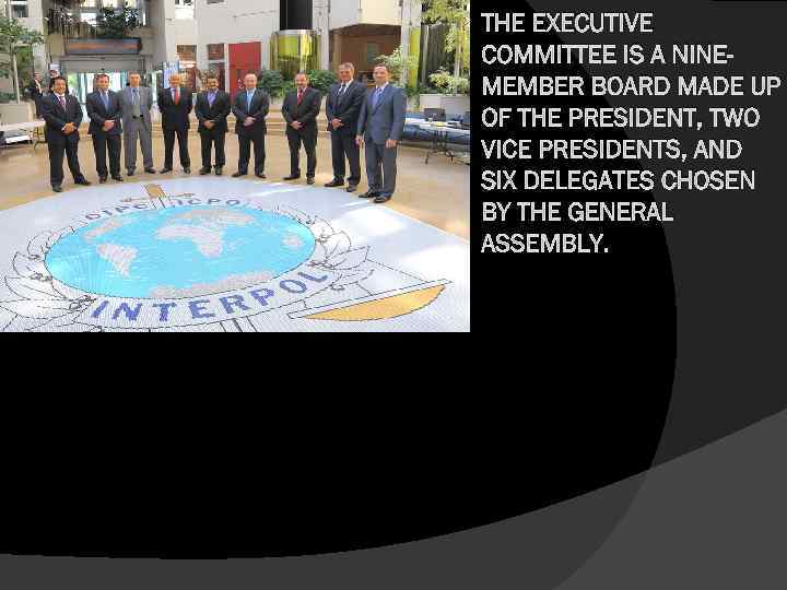 THE EXECUTIVE COMMITTEE IS A NINEMEMBER BOARD MADE UP OF THE PRESIDENT, TWO VICE