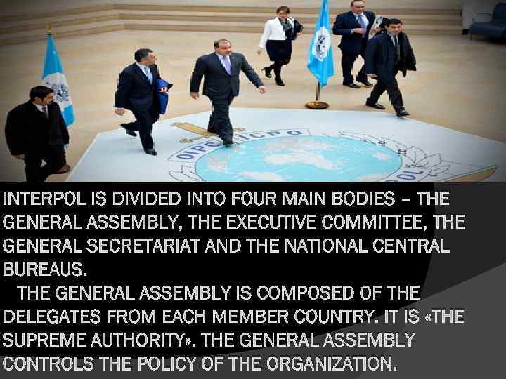 INTERPOL IS DIVIDED INTO FOUR MAIN BODIES – THE GENERAL ASSEMBLY, THE EXECUTIVE COMMITTEE,