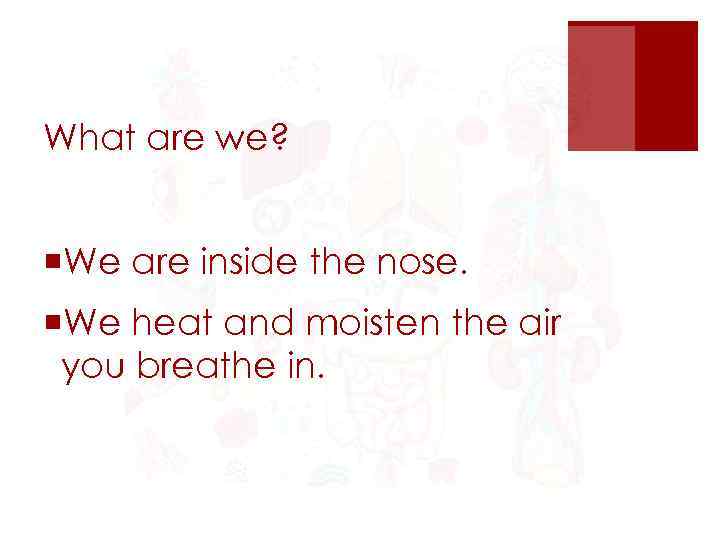 What are we? ¡We are inside the nose. ¡We heat and moisten the air