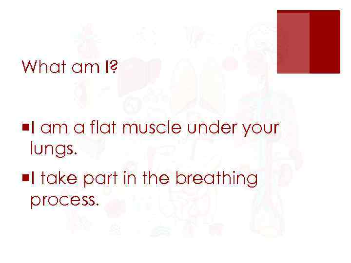 What am I? ¡I am a flat muscle under your lungs. ¡I take part