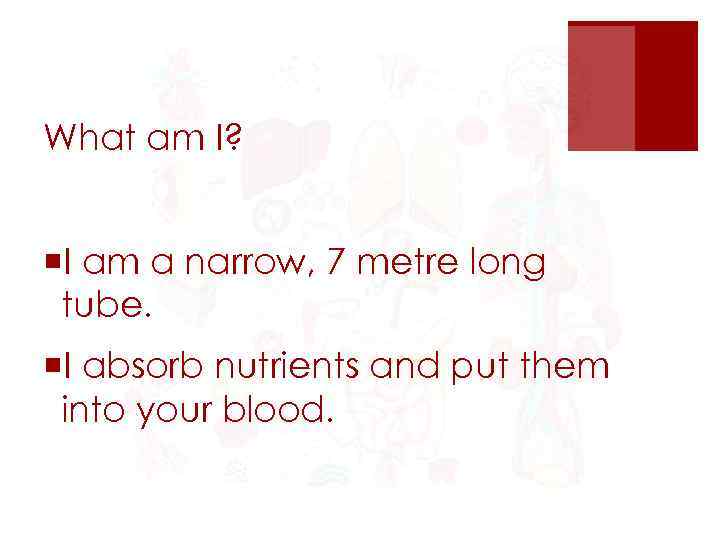 What am I? ¡I am a narrow, 7 metre long tube. ¡I absorb nutrients
