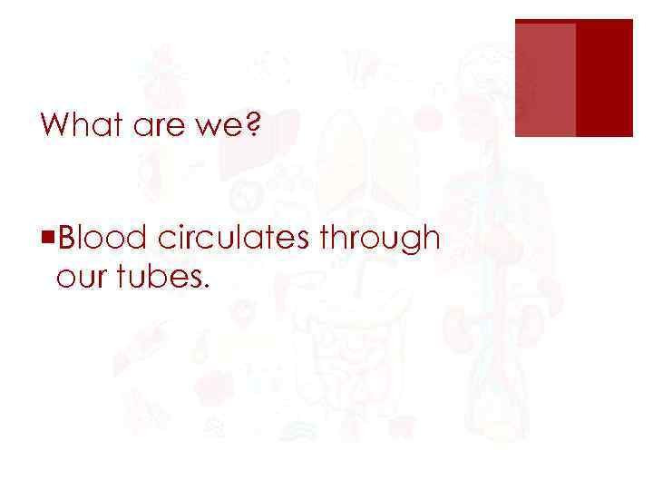 What are we? ¡Blood circulates through our tubes. 